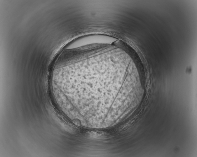 X0000115730346200912101457
