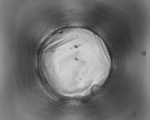 X0000115730347200912101457