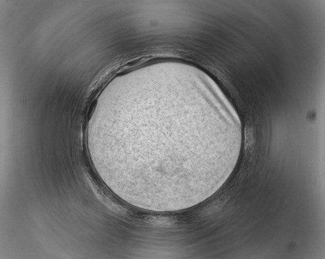 X0000115730349200912101457