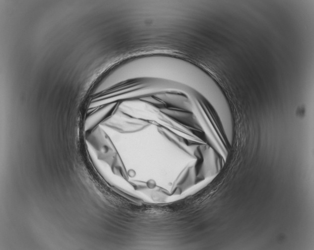 X0000115730350200912101457