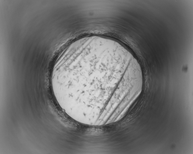 X0000115730354200912101457