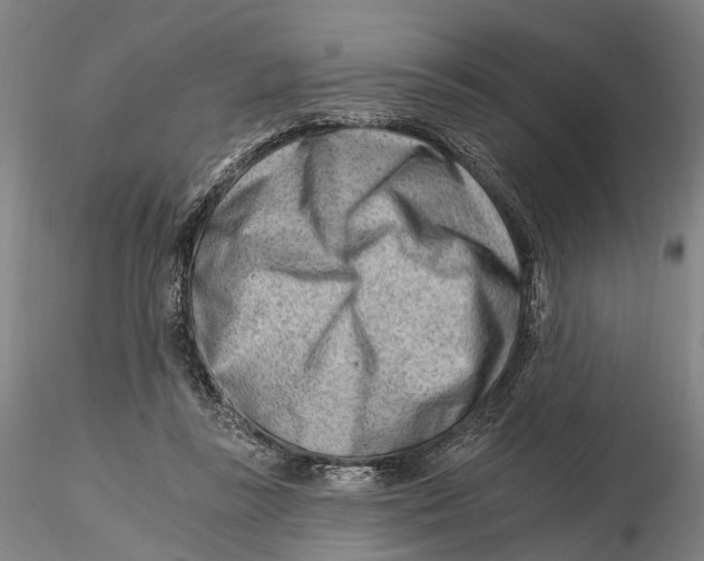 X0000115730355200912101457