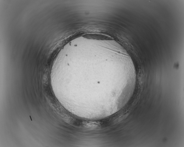 X0000115730359200912101457