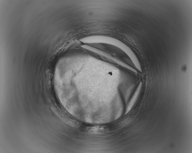 X0000115730366200912101457