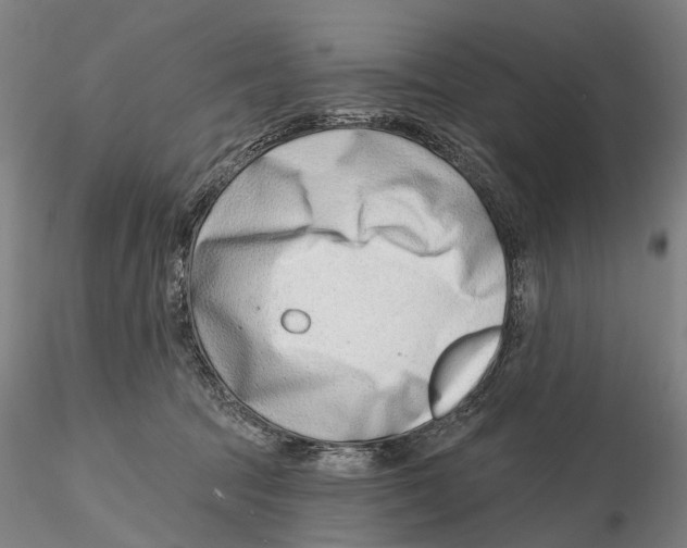 X0000115730369200912101457