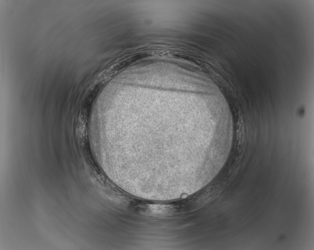 X0000115730371200912101457