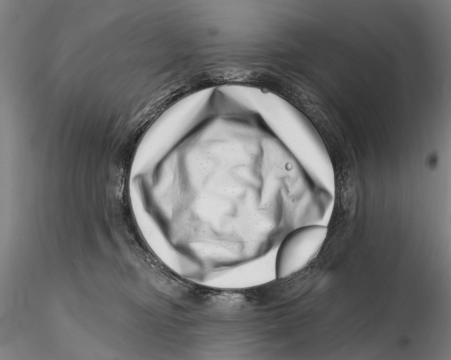 X0000115730374200912101457