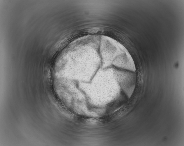 X0000115730375200912101457