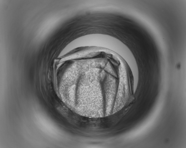 X0000115730382200912101458