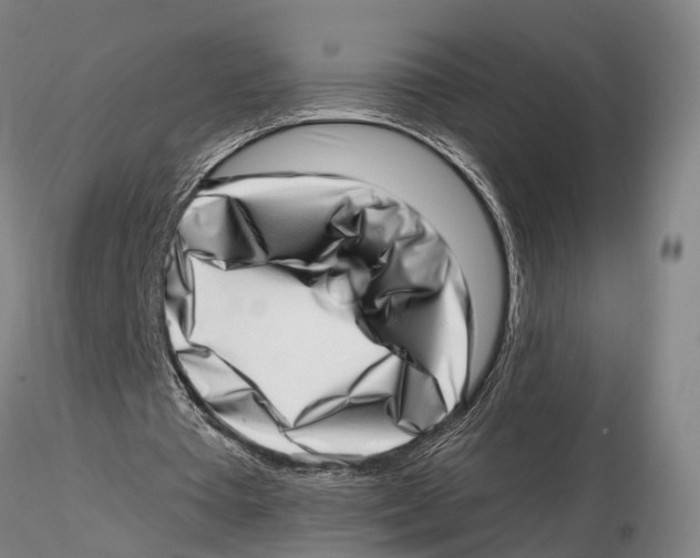 X0000115730385200912101457
