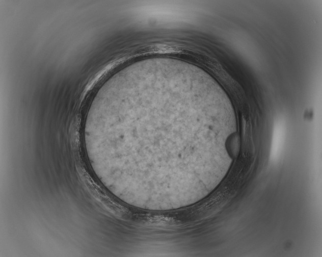 X0000115730387200912101457