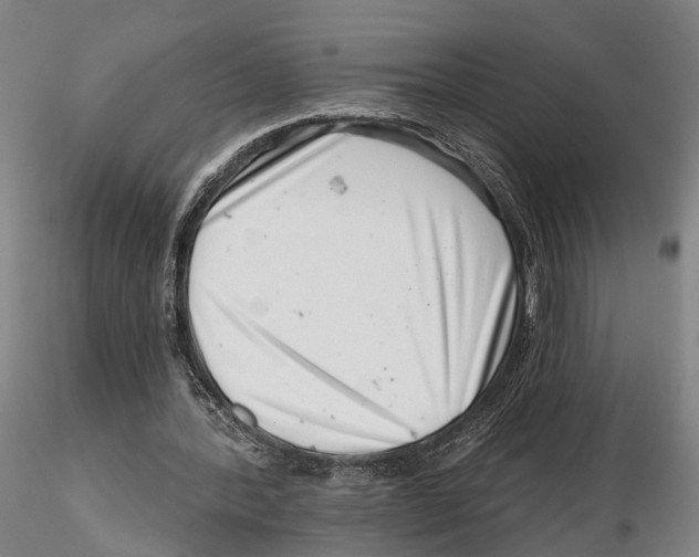 X0000115730388200912101457