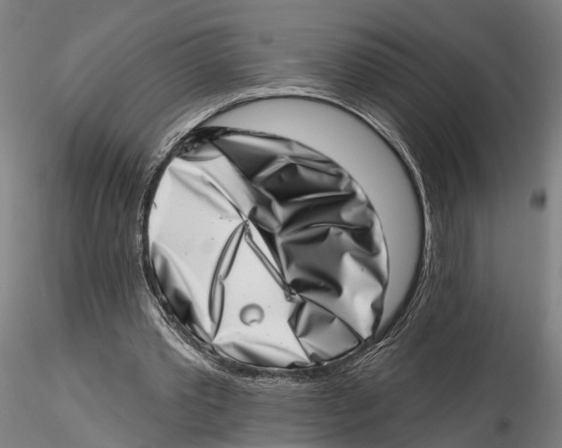 X0000115730389200912101457