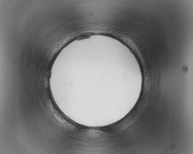 X0000115730393200912101457