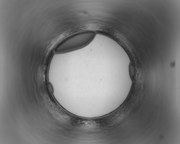 X0000115730395200912101457