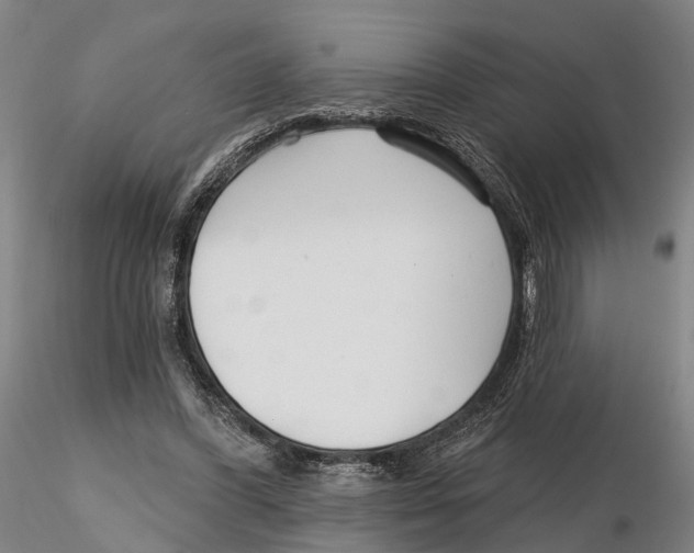 X0000115730396200912101457