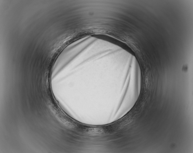X0000115730398200912101457