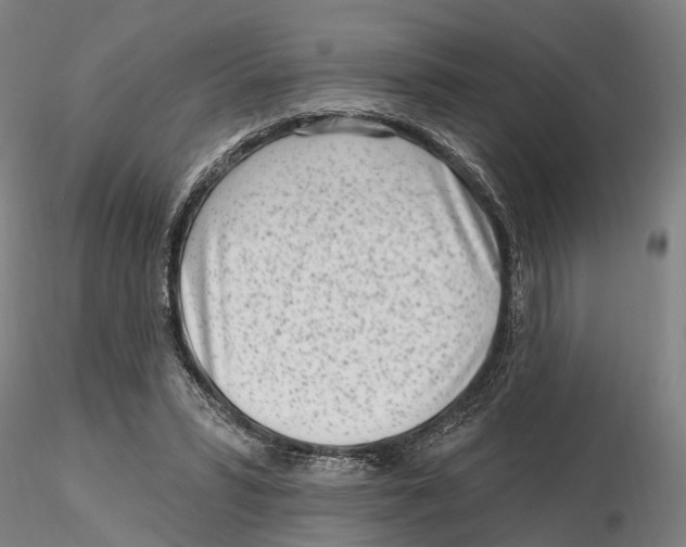 X0000115730399200912101457