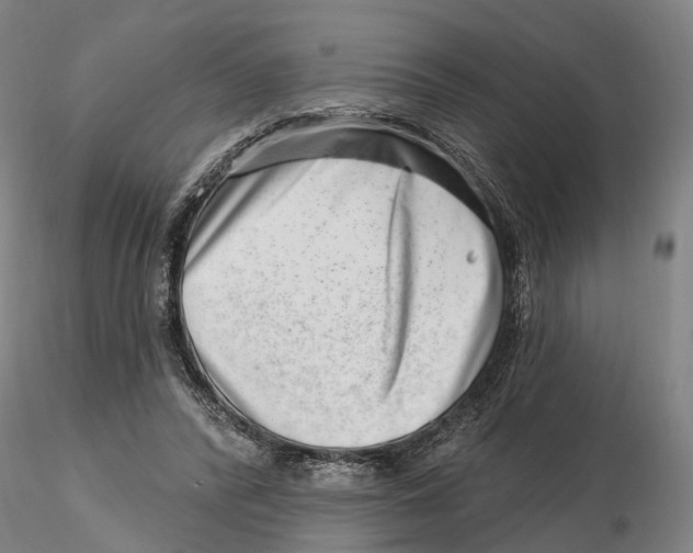 X0000115730400200912101457