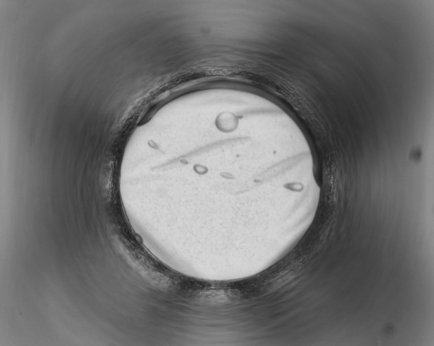 X0000115730404200912101457