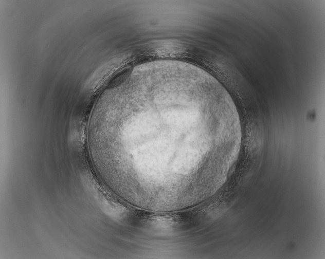 X0000115730405200912101457