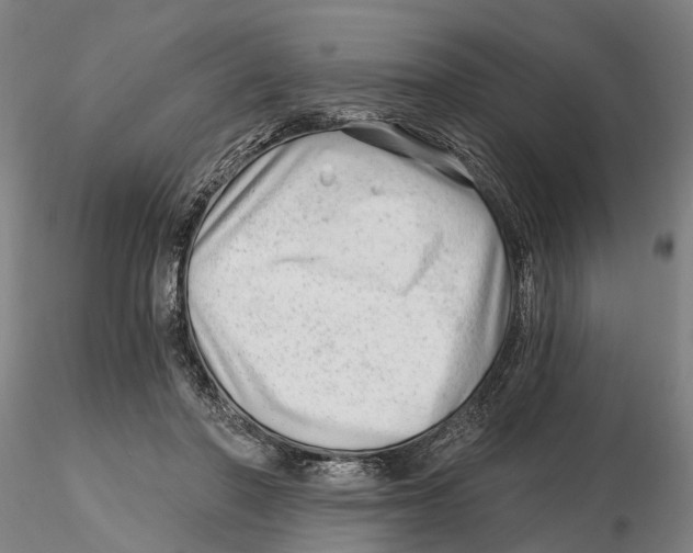 X0000115730406200912101457