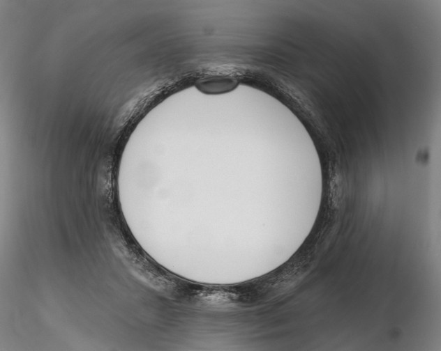 X0000115730407200912101457