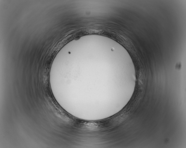 X0000115730409200912101457
