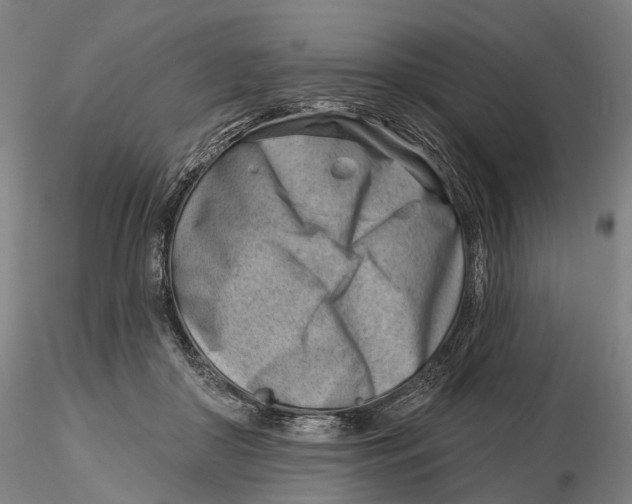 X0000115730410200912101457