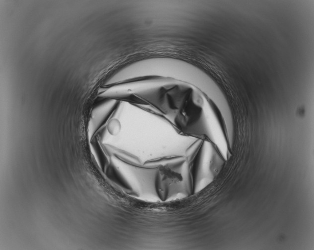 X0000115730411200912101457