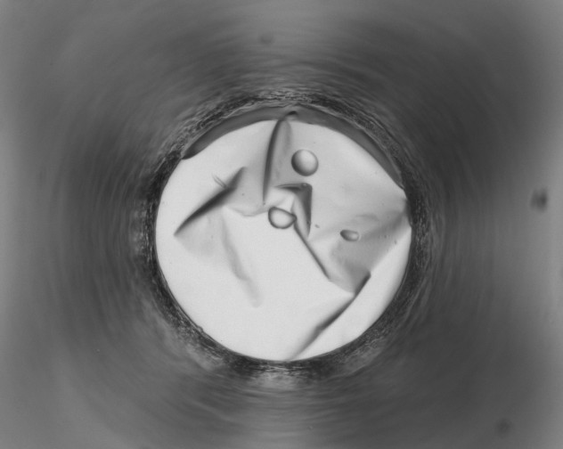 X0000115730416200912101456