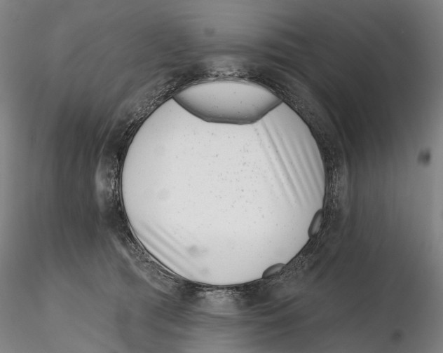 X0000115730417200912101456