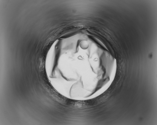 X0000115730420200912101456