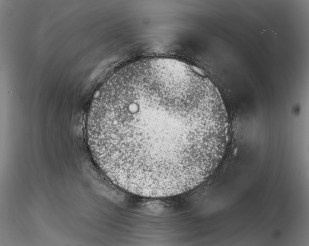 X0000115730423200912101456