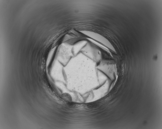 X0000115730424200912101456