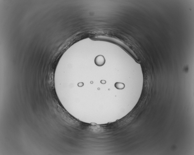 X0000115730425200912101456