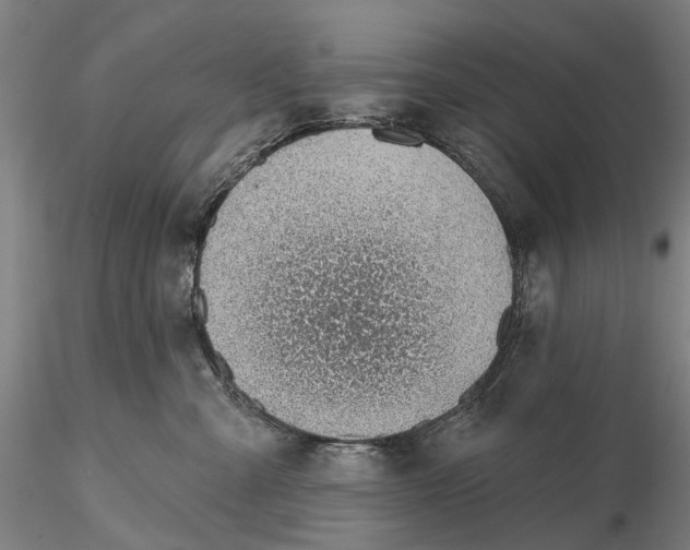 X0000115730427200912101456