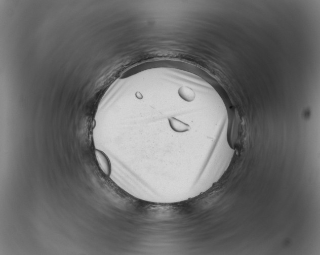 X0000115730428200912101456