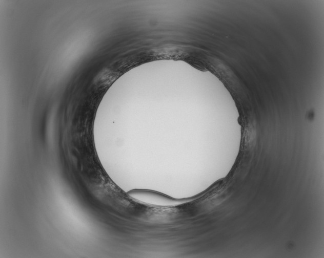 X0000115730429200912101456