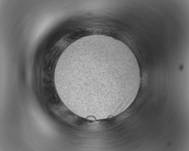 X0000115730430200912101456