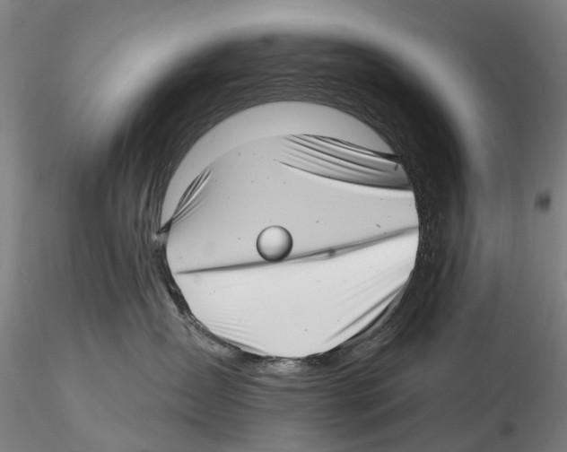 X0000115730431200912101456