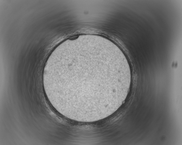 X0000115730433200912101455