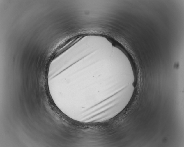 X0000115730434200912101455