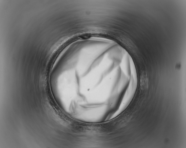 X0000115730436200912101455