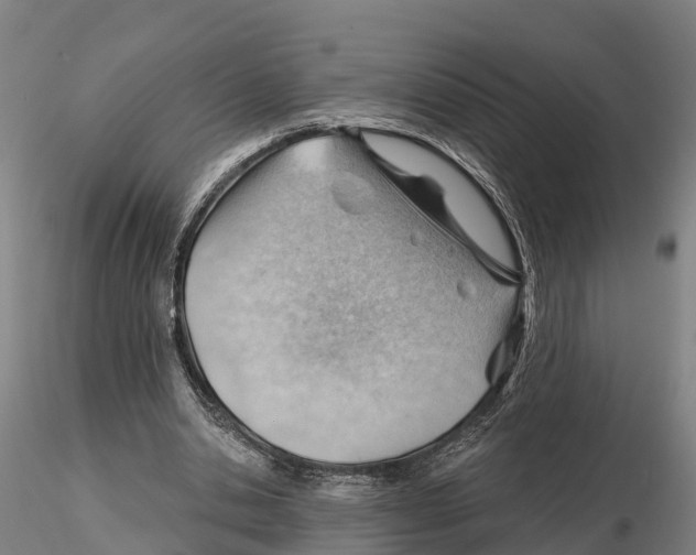 X0000115730438200912101456
