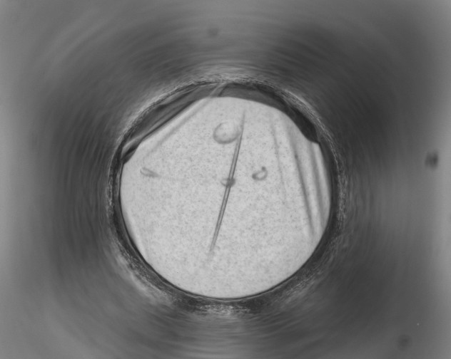 X0000115730439200912101456
