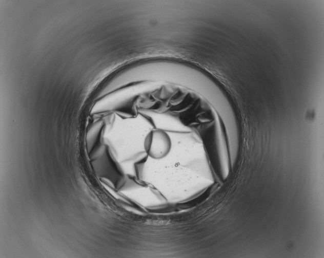 X0000115730440200912101456