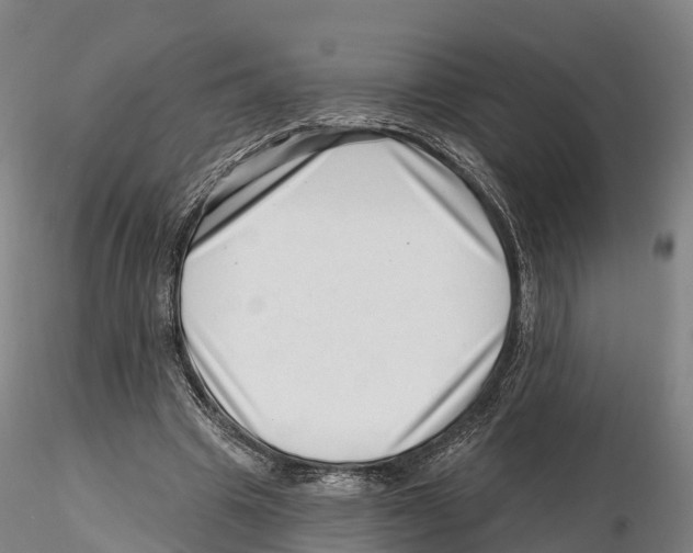 X0000115730441200912101456