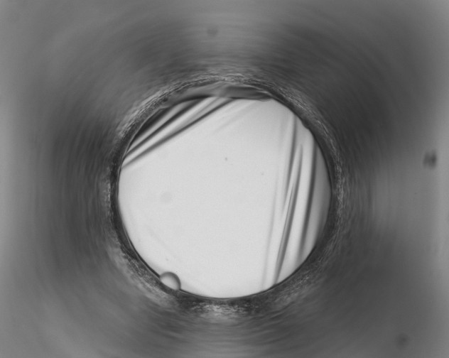 X0000115730442200912101456