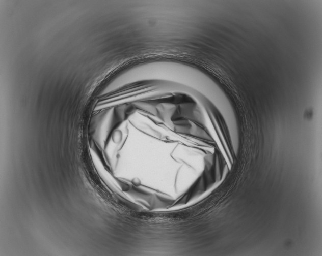 X0000115730444200912101456